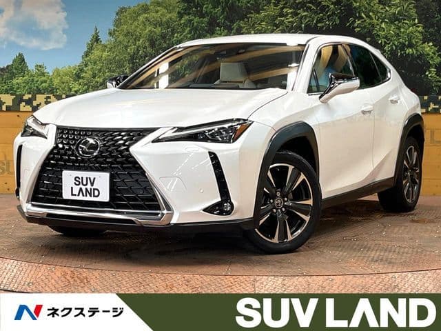TOYOTA LEXUS UX200