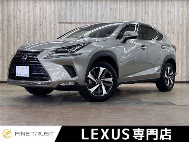 TOYOTA LEXUS NX300h AWD