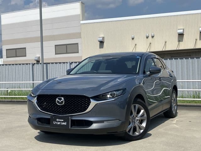 Car image 1
