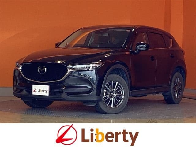 Car image 1