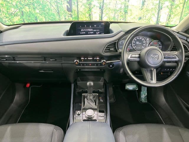 Car thumbnail 2