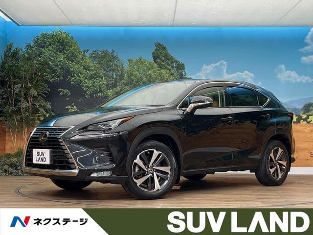 TOYOTA LEXUS NX300 AWD