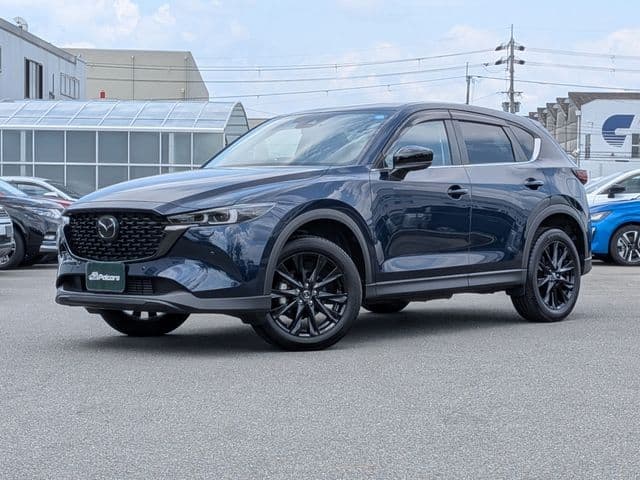 Car image 1