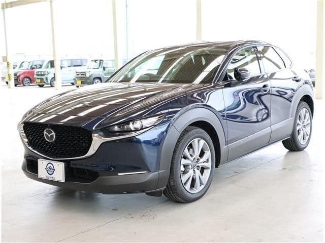 Car image 1