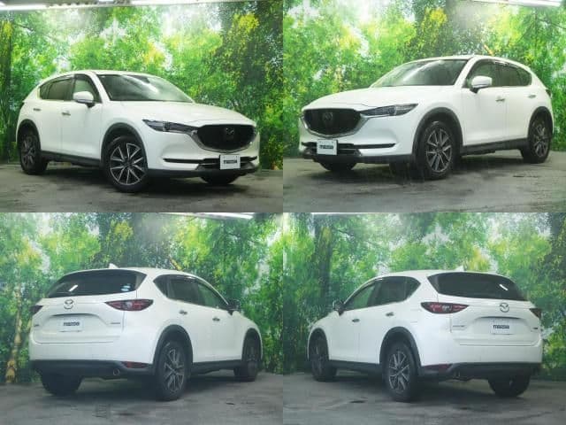 Car thumbnail 2