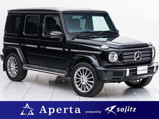 MERCEDES BENZ MERCEDES BENZ G class
