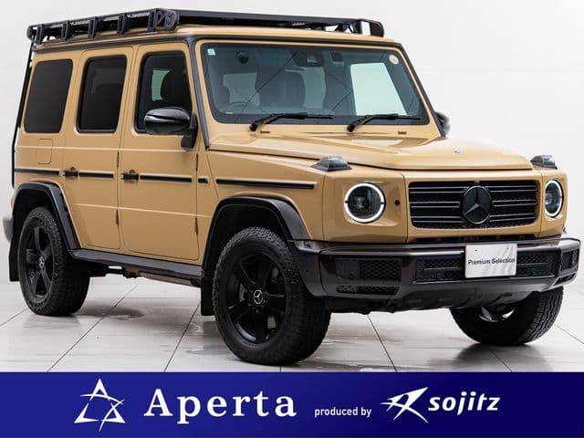 MERCEDES BENZ MERCEDES BENZ G class