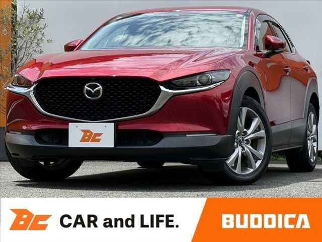 Car image 1