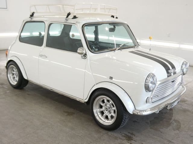 ROVER ROVER MINI