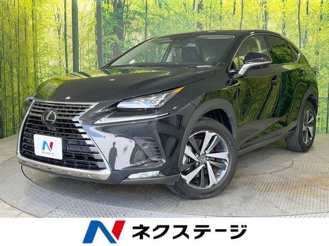 TOYOTA LEXUS NX300