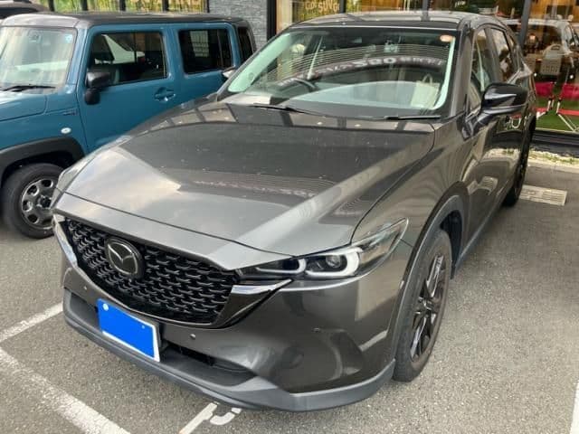 Car image 1
