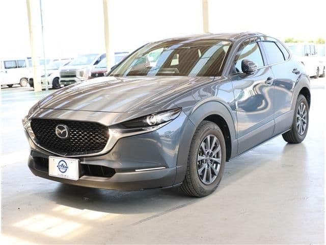 Car image 1