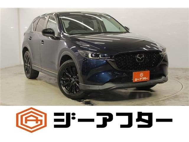 Car image 1