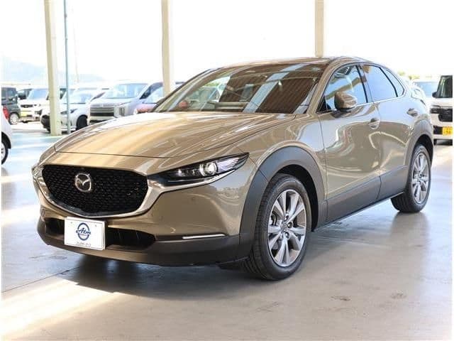 Car image 1