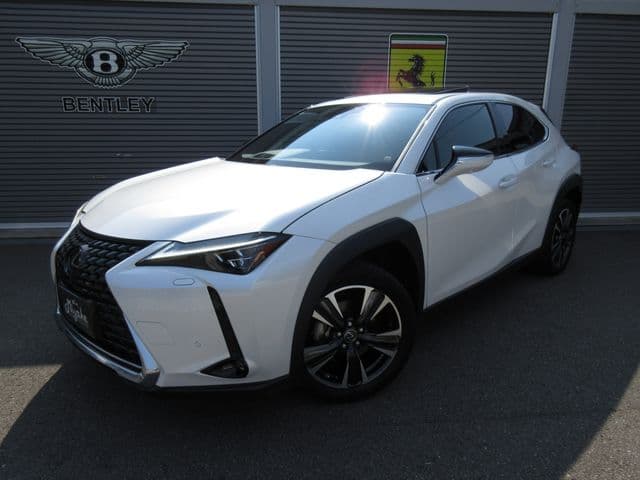 TOYOTA LEXUS UX250h