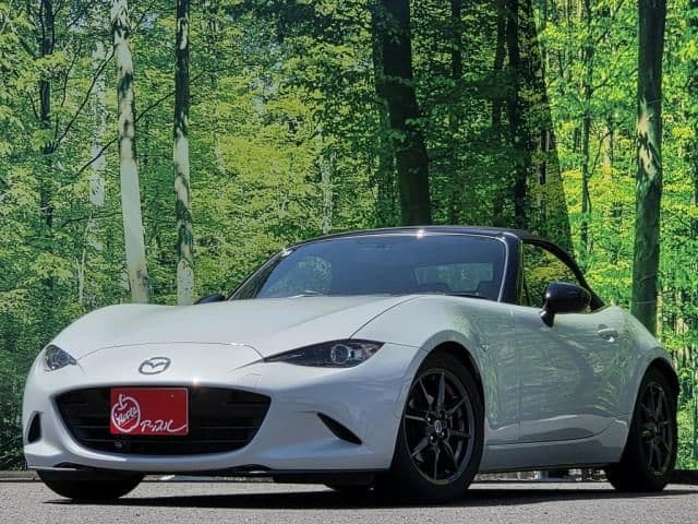 Car image 1
