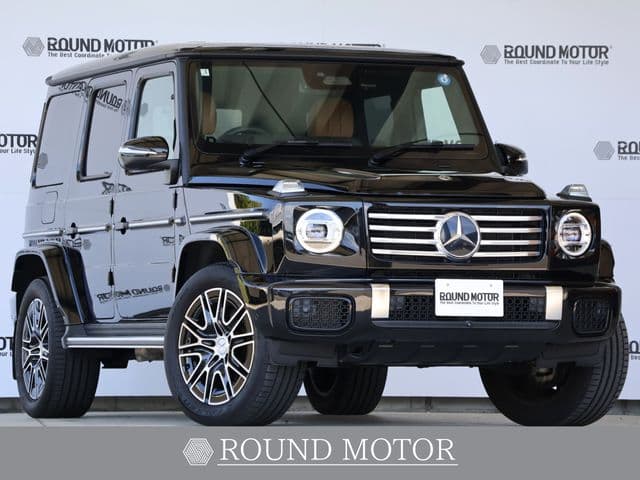 MERCEDES BENZ MERCEDES BENZ G class
