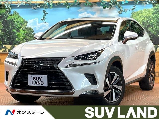 TOYOTA LEXUS NX300