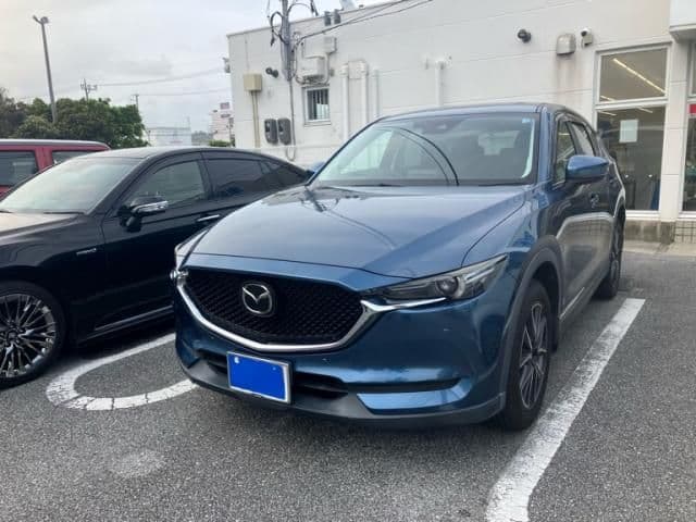 Car image 1