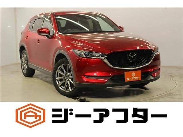Car image 1