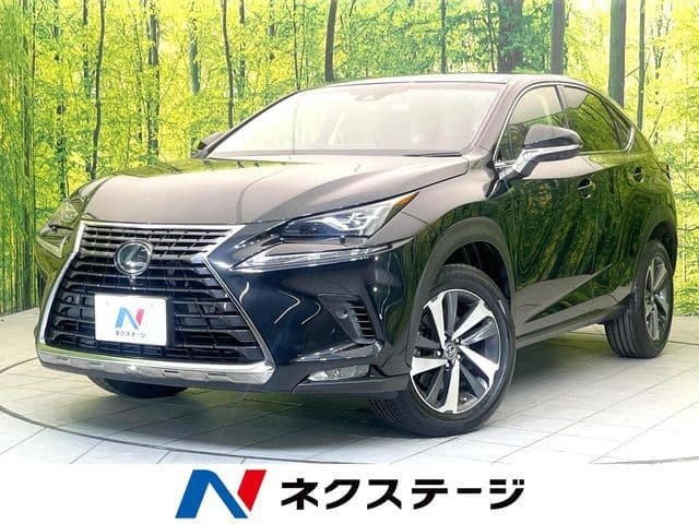 TOYOTA LEXUS NX300
