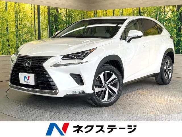 TOYOTA LEXUS NX300