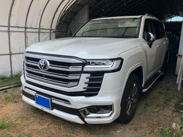 TOYOTA LANDCRUISER wagon