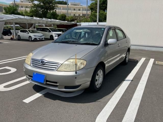 TOYOTA COROLLA sedan