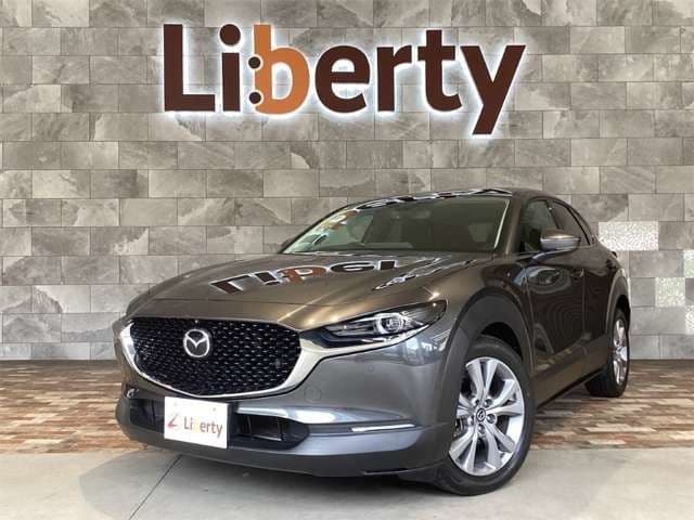 Car image 1