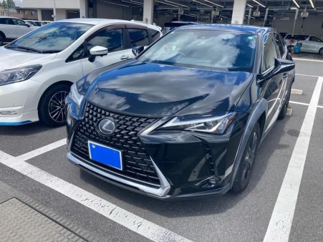 TOYOTA LEXUS UX250h