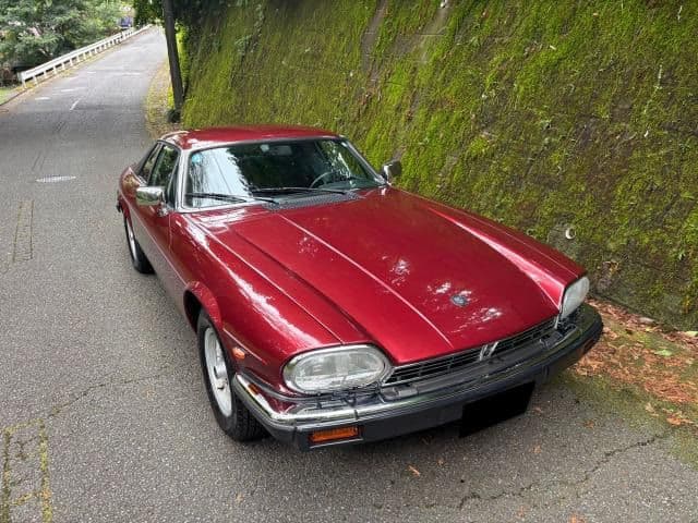 JAGUAR