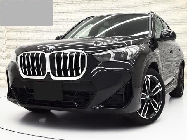 BMW BMW X1