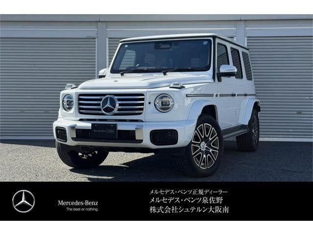 MERCEDES BENZ MERCEDES BENZ G class