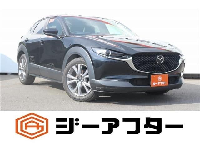 Car image 1