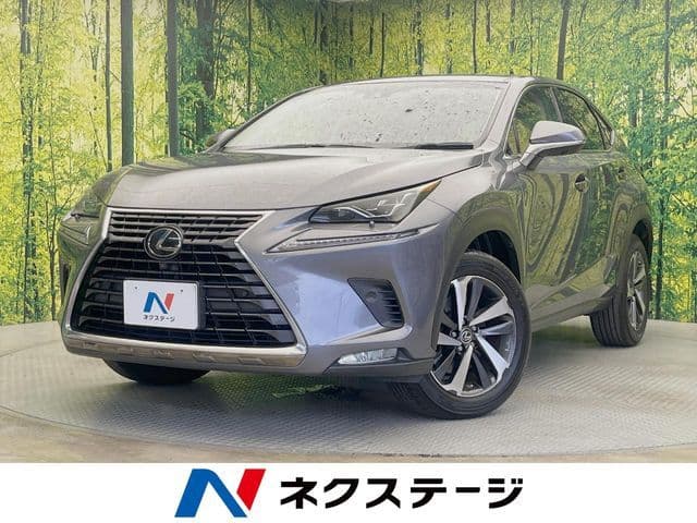 TOYOTA LEXUS NX300