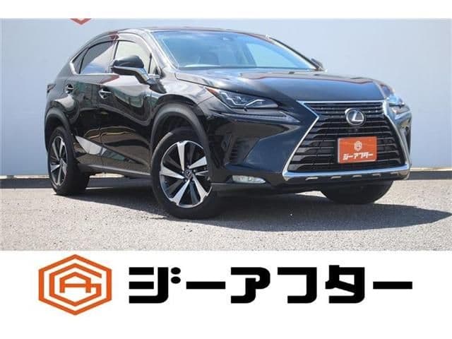 TOYOTA LEXUS NX300h