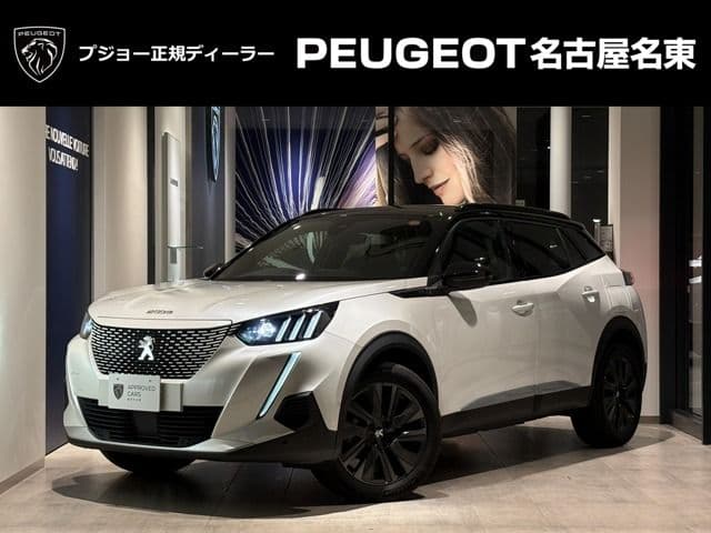 PEUGEOT PEUGEOT e-2008