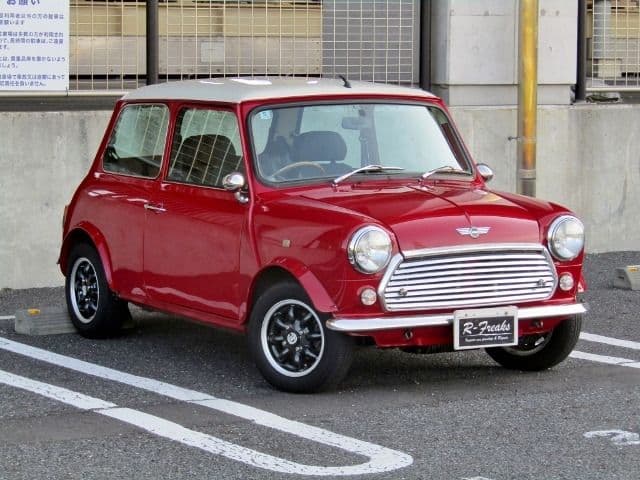 ROVER ROVER MINI