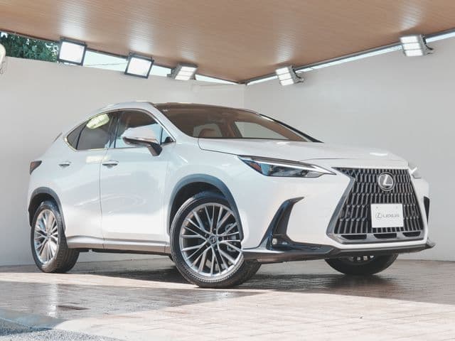 TOYOTA LEXUS NX250