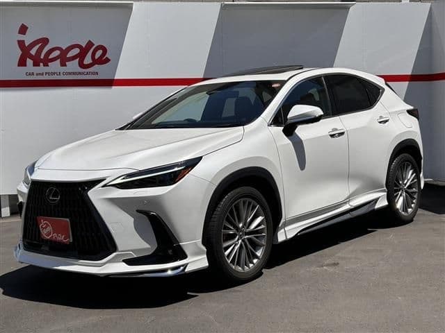 TOYOTA LEXUS NX250