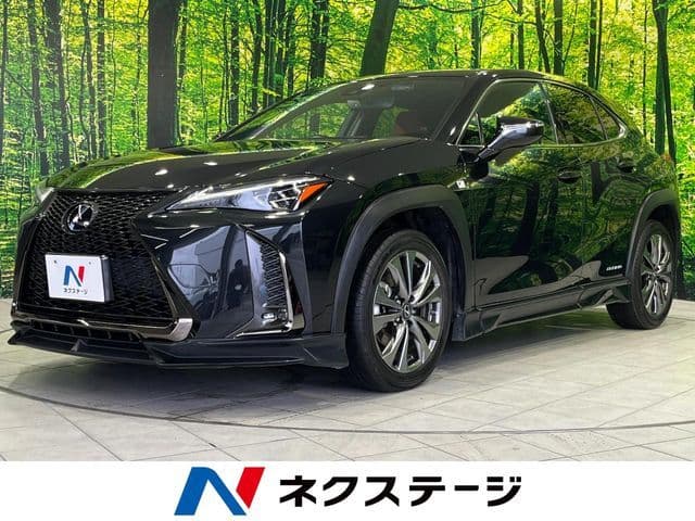 TOYOTA LEXUS UX250h AWD