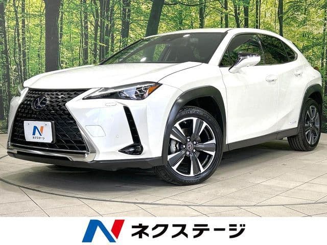 TOYOTA LEXUS UX250h AWD