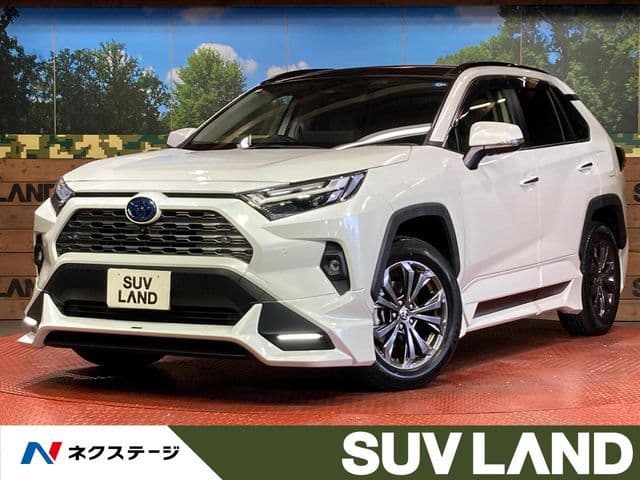 TOYOTA RAV4 HYBRID 4WD
