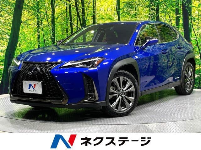TOYOTA LEXUS UX250h