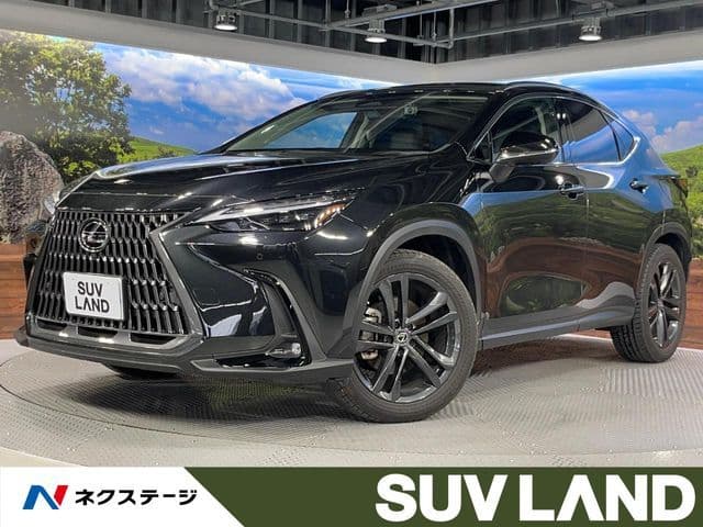 TOYOTA LEXUS NX250