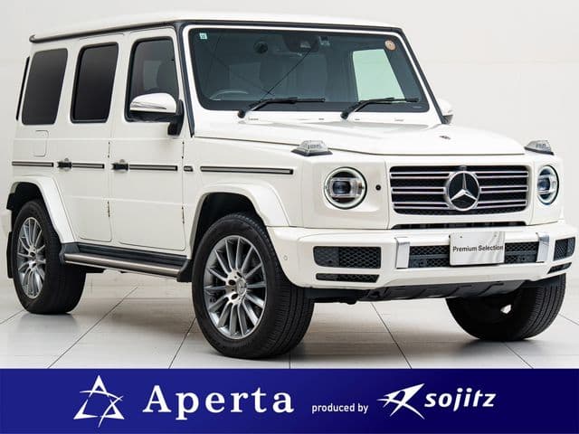 MERCEDES BENZ MERCEDES BENZ G class