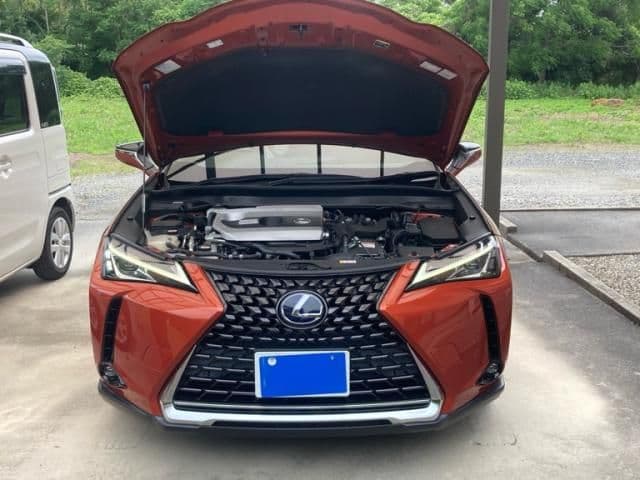 TOYOTA LEXUS UX250h AWD