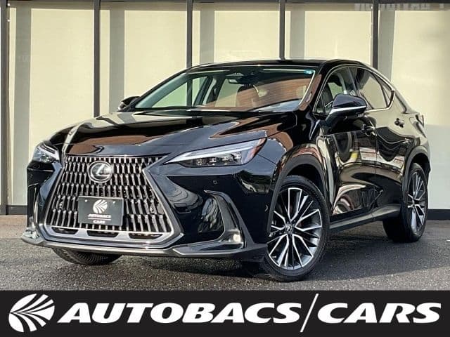 TOYOTA LEXUS NX450h+ AWD
