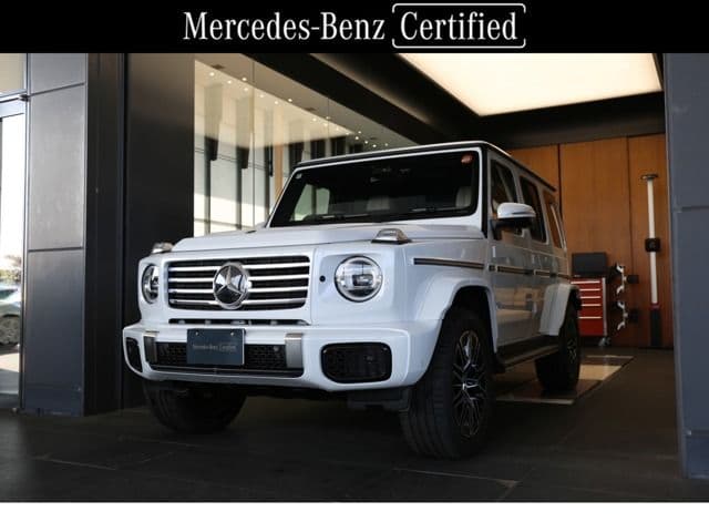MERCEDES BENZ MERCEDES BENZ G class