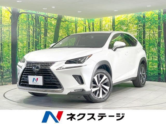 TOYOTA LEXUS NX300